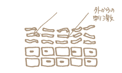 潤いが不足した肌